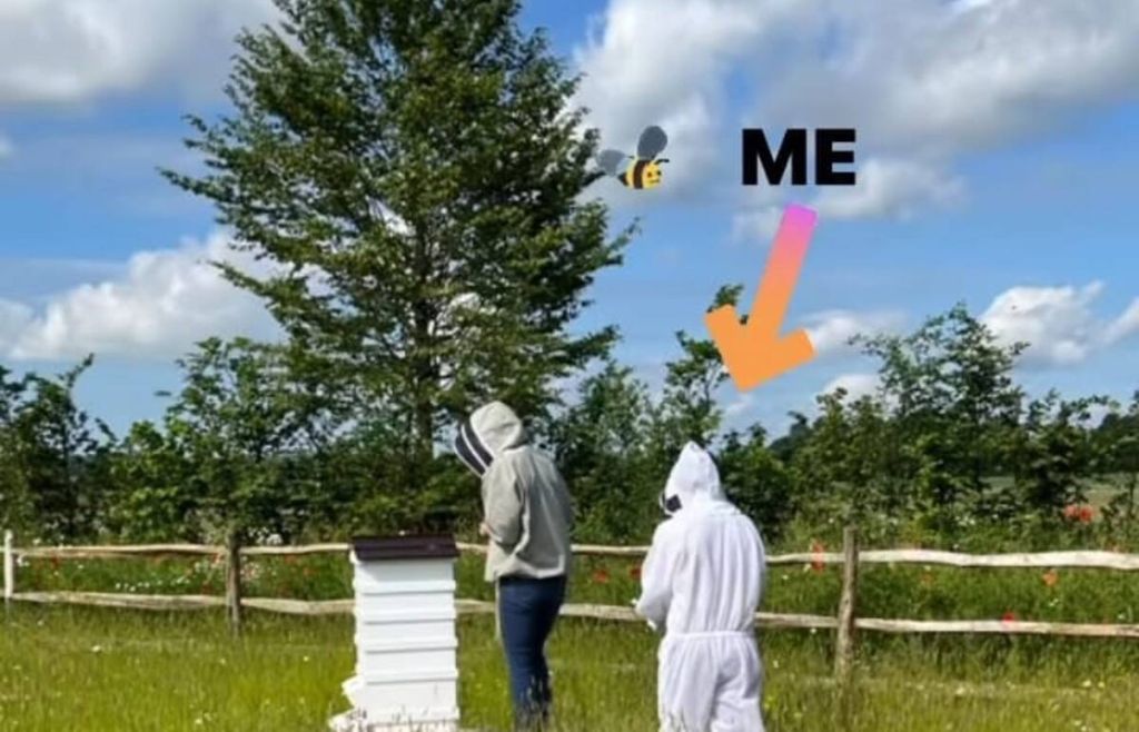 miel David comenzó a practicar la apicultura durante la pandemia y convirtió la recolección de miel de sus propias colmenas en una de sus actividades favoritas en la campiña inglesa. Fuente: @davidbeckham