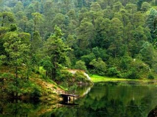 El lago escondido cerca de CDMX donde el otoño pinta paisajes mágicos
