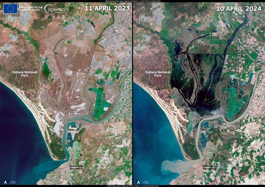 Imágenes de satélite de Doñana tomadas por el satélite Sentinel-2 durante la sequía extrema de 2023 y tras las intensas lluvias de la primavera de 2024. Fuente: © Copernicus.