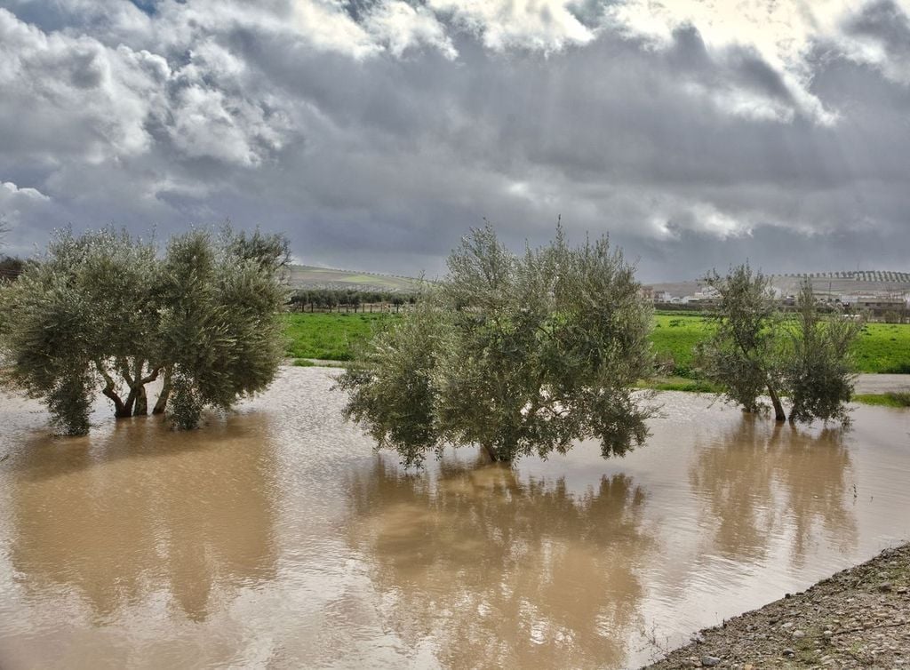 Las inundaciones catastróficas ocurridas en Andalucía este invierno contrastan con la extrema sequedad que tuvimos el año pasado por las mismas fechas, con una sequía muy extrema.