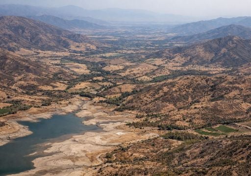 El lento y dif&iacute;cil renacer verde: c&oacute;mo la megasequ&iacute;a alter&oacute; para a&ntilde;os la vegetaci&oacute;n de Chile Central