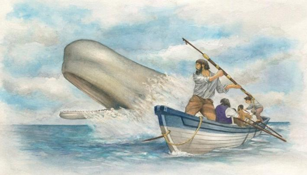 Ilustración de Mocha Dick, el legendario cachalote blanco asociado a las aguas de Isla Mocha, cuyo mito inspiró parte del imaginario de Moby-Dick. Crédito: Museo Nacional de Historia Natural.