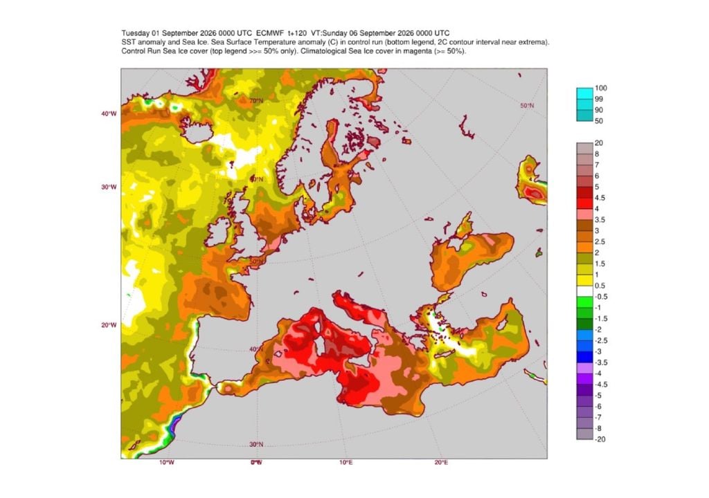 Anomalie temperature del mare. Previsioni sulle anomalie della temperatura superficiale del mare per il 6 settembre. Fonte: modello europeo.
