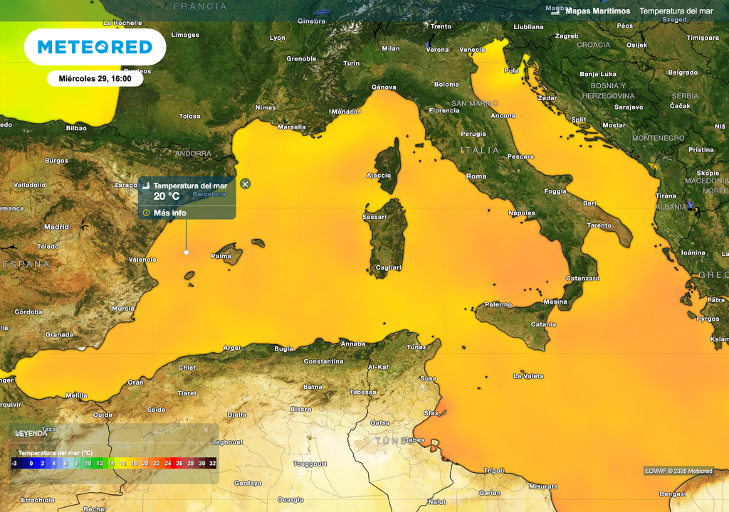 Le modèle européen prévoit des températures de surface de l’eau de mer pouvant atteindre jusqu’à 20 ºC aux heures centrales de la journée.