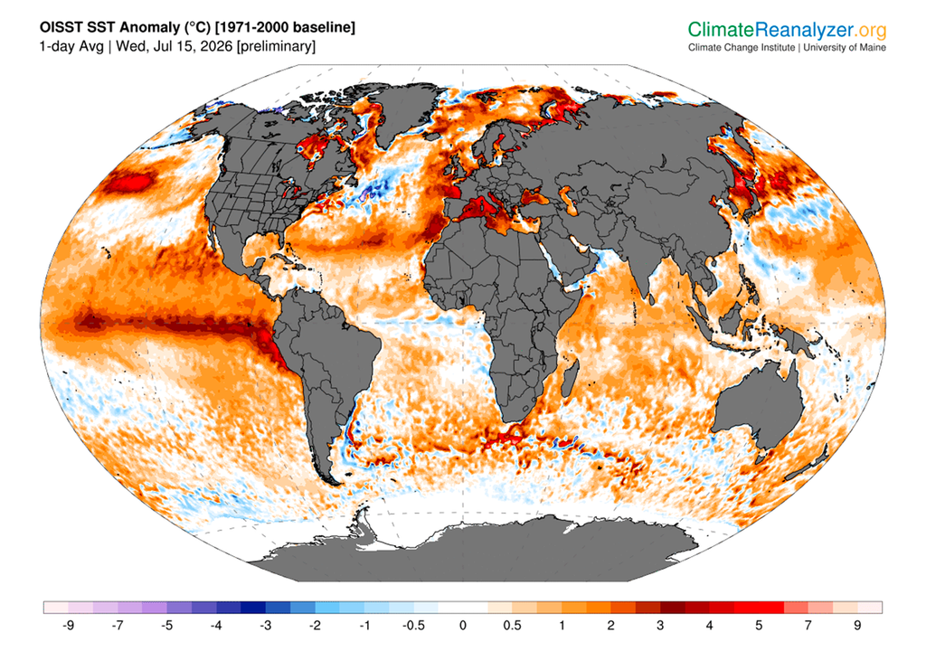 Este verano el Mediterráneo está registrando las mayores anomalías cálidas del planeta. Fuente: Climate Reanalyzer.