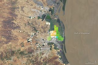 El mayor productor de sal de la India