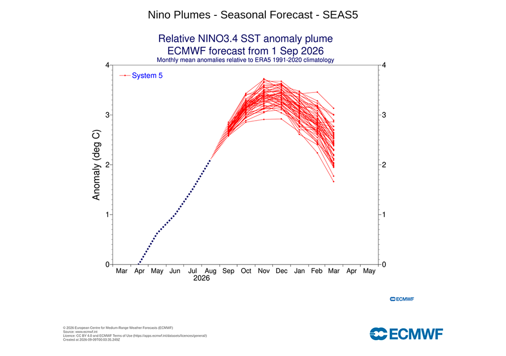 Última previsión del ECMWF sobre el fenómeno "Plum El Niño": la previsión es ya coherente y clara; nos encaminamos hacia un fenómeno histórico.