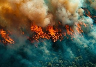 Ola de calor en España | El aviso de Maldonado para el fin de semana: los incendios son un peligro en potencia