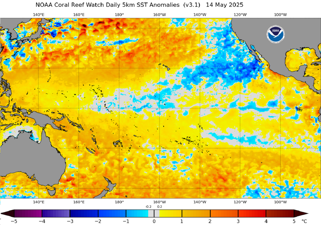 Anomalía de temperaturas superficiales del Pacífico, NOAA Anomalía de temperaturas superficiales del Pacífico, NOAA