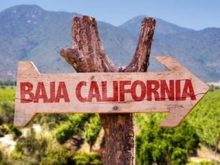 El 'milagro' climático que permite que en el desierto de Baja California crezcan las mejores uvas de México