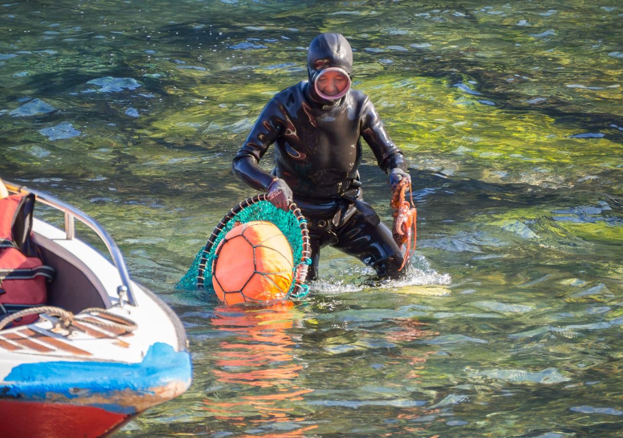 Investigadores encontraron una adaptación evolutiva que parece reducir la presión arterial diastólica, lo que podría proteger sus vasos sanguíneos durante el buceo.