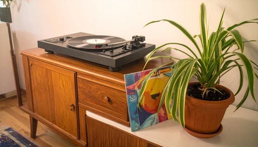 &ldquo;El mito de poner m&uacute;sica a las plantas&rdquo;: un experto da una respuesta cient&iacute;fica a los amantes de la jardiner&iacute;a