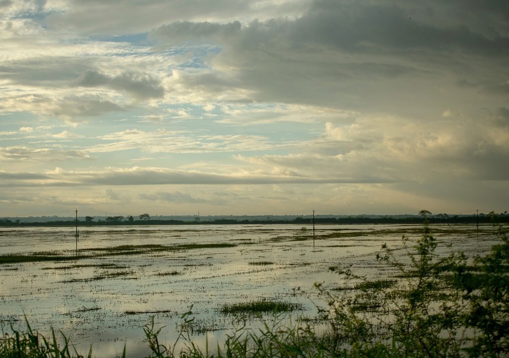 Lluvia, Inundación, Pronóstico, Quincena, Argentina, Julio