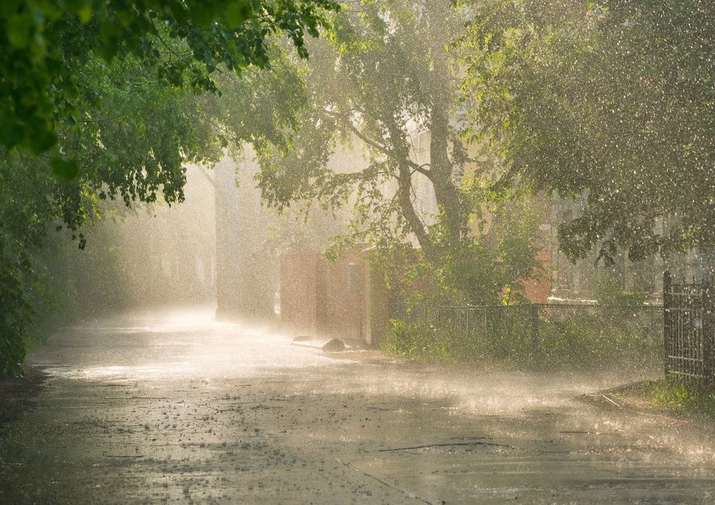 Agosto con lluvias abundantes
