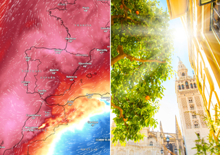 El modelo europeo alerta sobre la ola de calor en España: hay valores muy raros en el índice de predicción de extremos