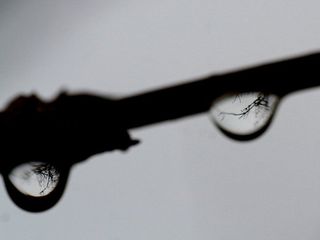 El mon dins una gota