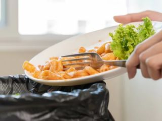 El mundo desperdicia mil millones de platos de comida al día mientras millones pasan hambre