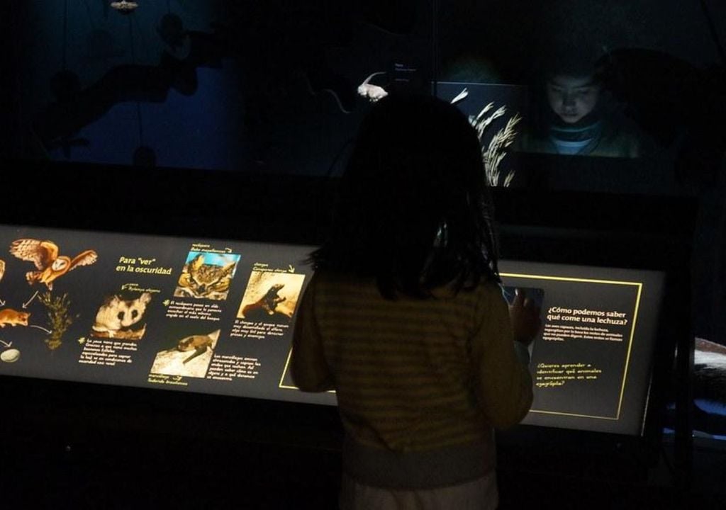 Charlas sobre felinos, una exhibición sobre el clima en ciudades costeras y ferias con científicas locales dan forma a una programación que trasciende la conmemoración del Día de la Mujer. Créditop imagen: MHNV