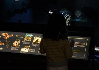 El Museo que mira el mar: mujeres, ciencia y justicia clim&aacute;tica toman Valpara&iacute;so en marzo