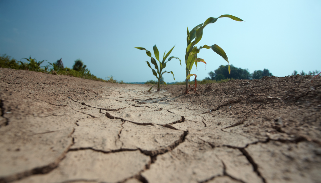 sequía. La sequía prolongada puede reducir la disponibilidad de agua, afectar cultivos y disminuir la producción agrícola, generando impactos que luego se extienden hacia los precios de los alimentos y la economía.