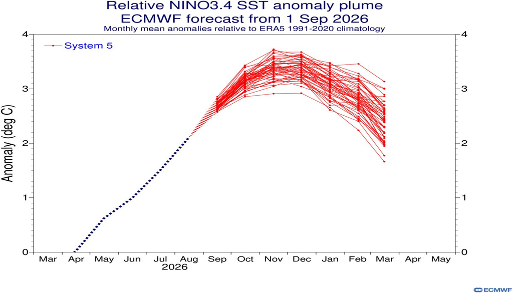Predicciones probabilísticas realizadas el 1 de agosto de 2026 de las anomalías de la temperatura superficial del agua del mar del Pacífico ecuatorial central, región Niño3.4, según el modelo del ECMWF, para los próximos meses en lineas rojas. ECMWF