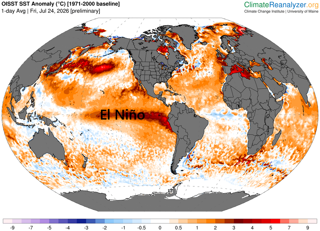 Anomalías de la temperatura superficial del agua del mar, destacando la señal cálida de El Niño en el Pacífico ecuatorial a 24 de julio de 2026. Anomalías frías/cálidas en tonalidades azules/rojas. Climate Reanalyzer.