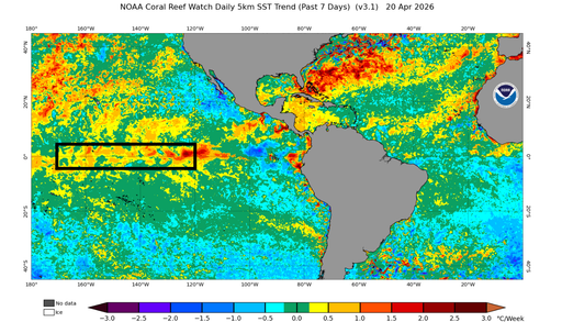 Atualiza&ccedil;&atilde;o do El Ni&ntilde;o aumenta chance de evento intenso em 2026