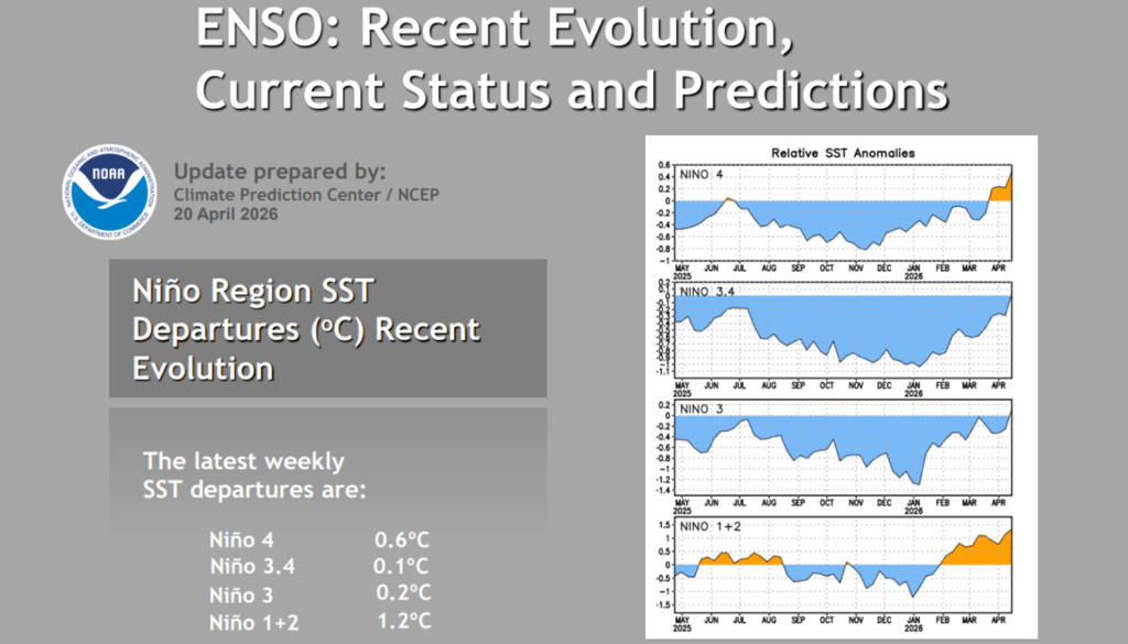 Informações retiradas do último boletim semanal da NOAA, mostrando que as anomalias na região do Niño 3.4 estão em +0,1°C. Créditos: Elaborado por Meteored/Fonte: CPC/NOAA.