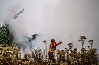 El Niño, altas temperaturas y los incendios forestales mortíferos en Chile