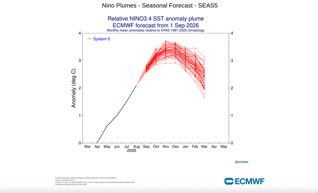 Ultima previsione ECMWF del Plum El Niño: la previsione è ormai coerente e chiara, si va verso un evento storico.