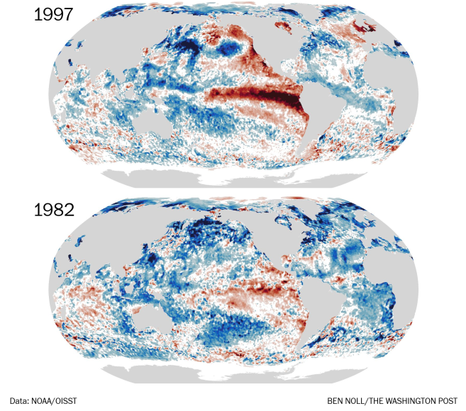Anomalías de la temperatura superficial del agua del mar con anomalías frías/cálidas en tonalidades azules/rojas, para diferentes años de El Niño a fecha de 26 de agosto. Nótese que El Niño de 2026 se está desarrollando con extensas anomalías cálidas en otros mares de la Tierra. Ben Noll.