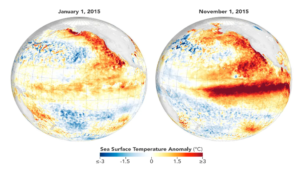Le due mappe mostrano l'evoluzione dell'anomalia nella temperatura superficiale dell'Oceano Pacifico che nell'arco di 1 anno ha portato alla manifestazione dell'evento di El Nino nel 2015. Credit: NASA Earth Observatory maps by Michala Garrison, using data from the MUR SST (Multi-scale Ultra-high Resolution Sea Surface Temperature) project.