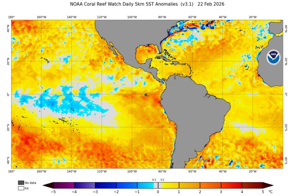 Anomalias de temperatura da superfície do mar (°C) no Pacífico e Atlântico tropicais, evidenciando aquecimento costeiro no Pacífico leste associado ao padrão de El Niño Costeiro. Fonte: NOAA Coral Reef Watch.