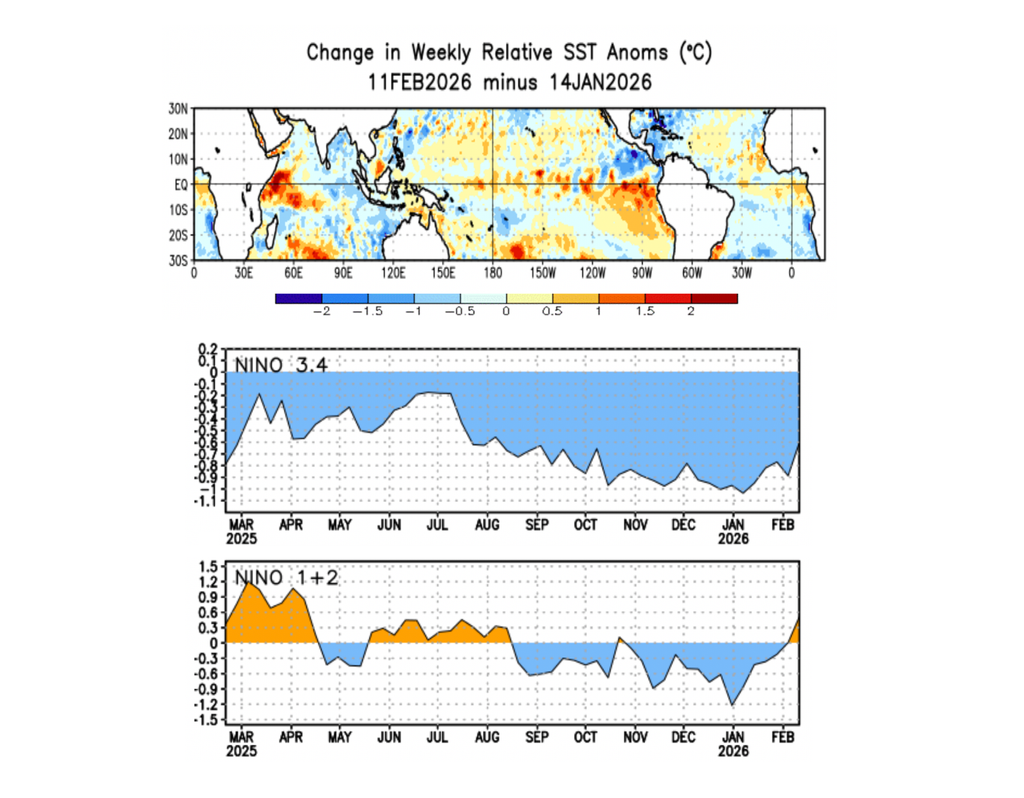 Arriba: Cambio en la temperatura superficial del mar entre la semana del 14 de enero y la del 11 de febrero de 2026. Abajo: Series de tiempo de la anomalías de temperatura superficial del mar en las regiones El Niño 3.4 y El Niño 1+2. Fuente: NOAA/CPC.