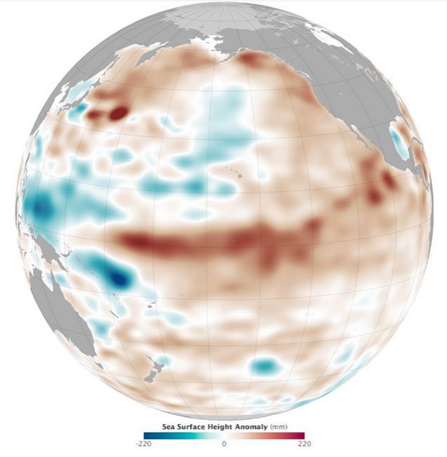 El Niño Débil, Pero Con Indicios De Cambio Del Pacífico