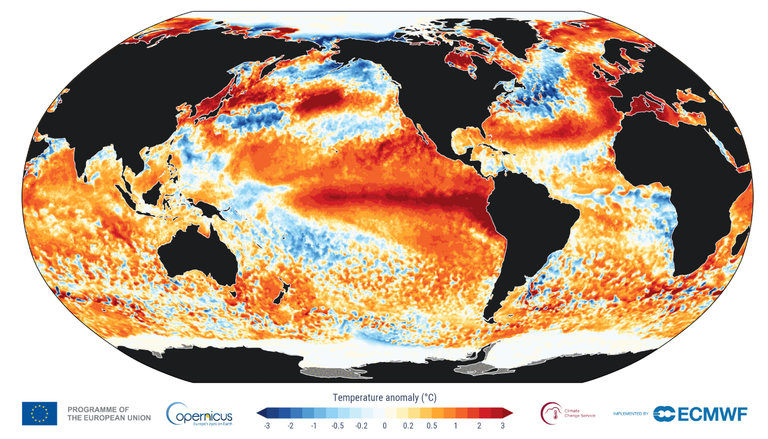 El Ni&ntilde;o a-t-il marqu&eacute; une pause ? Voici pourquoi cela ne remet pas en cause la survenue d&rsquo;un ph&eacute;nom&egrave;ne tr&egrave;s intense