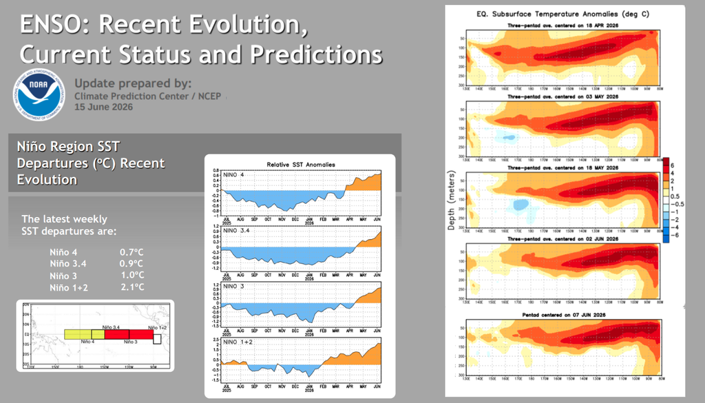 Resumo do boletim semanal da NOAA mostrando as anomalias de temperatura da superfície do mar e a evolução térmica da camada subsuperficial do Pacífico Equatorial. Créditos: CPC/NOAA. Resumo do boletim semanal da NOAA mostrando as anomalias de temperatura da superfície do mar e a evolução térmica da camada subsuperficial do Pacífico Equatorial. Créditos: CPC/NOAA.