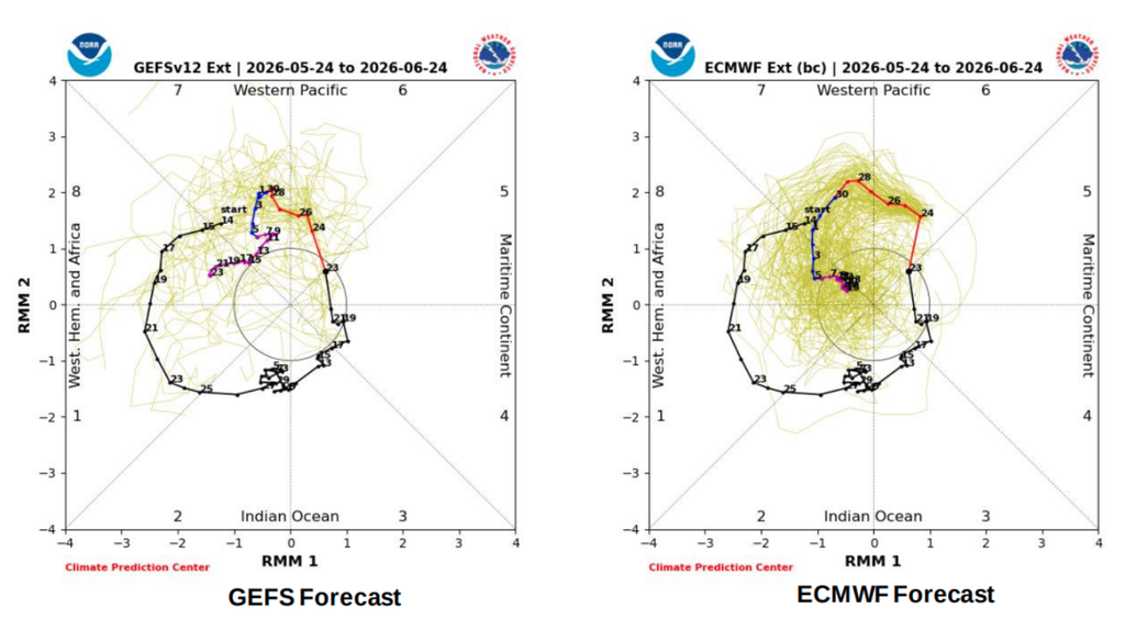 Previsão da MJO pelos modelos GEFS e ECMWF entre o fim de maio e junho de 2026. Créditos: CPC/NOAA. Previsão da MJO pelos modelos GEFS e ECMWF entre o fim de maio e junho de 2026. Créditos: CPC/NOAA.