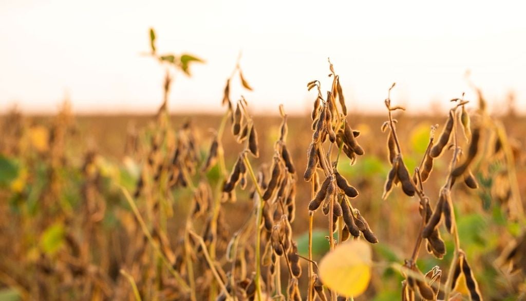 La siccità potrebbe essere un grosso problema per molti Paesi.