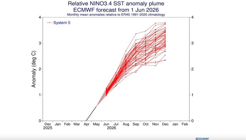 Il prodotto ECMWF Relative NINO3.4 SST anomaly plume aggiornato a giugno vede una incredibile coerenza dei vari "spaghetti" nel delineare una lunga e intensa fase positiva di ENSO.