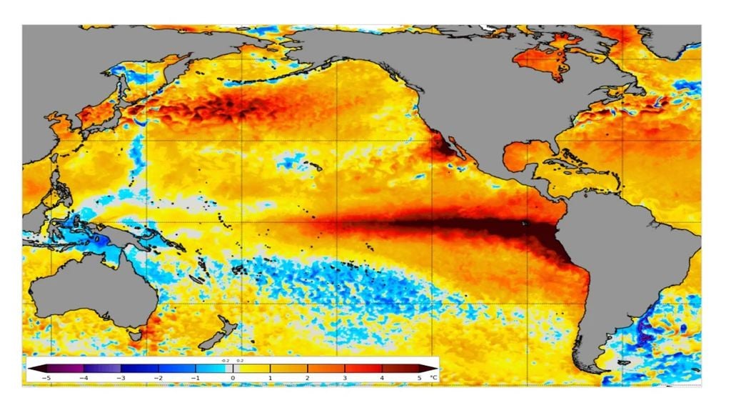 Anomalie della temperatura superficiale del mare dell'8 ottobre 2026. Fonte: NOAA Coral Reef.