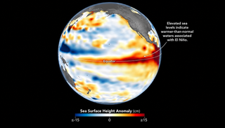 Il fenomeno El Ni&ntilde;o sta impoverendo il Pacifico di nutrienti: la NASA rileva un forte calo del fitoplancton