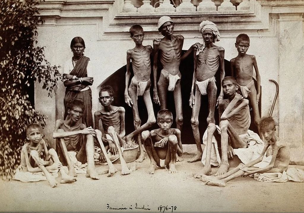 Hambruna 1876-1878