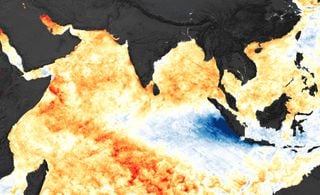 Un nuevo estudio revela que el fen&oacute;meno conocido como " El Ni&ntilde;o Indio" contribuy&oacute; a temperaturas r&eacute;cord en 2023 y 2024