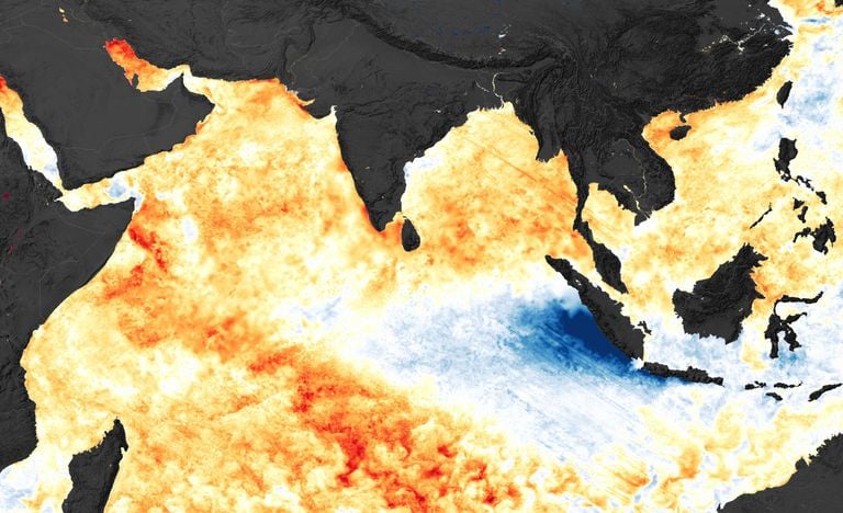 Un nuevo estudio revela que el fen&oacute;meno conocido como " El Ni&ntilde;o Indio" contribuy&oacute; a temperaturas r&eacute;cord en 2023 y 2024