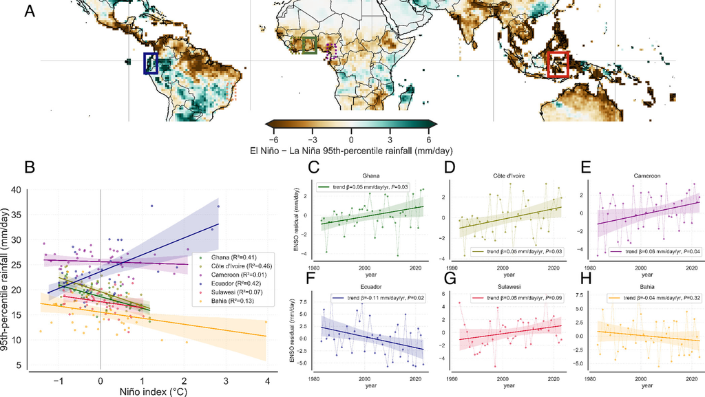 En años de El Niño las precipitaciones aumentan de manera significativa en algunos sectores del mundo (colores azules del mapa). Por ejemplo, Ecuador donde las precipitaciones llegan con mayor intensidad afectando la producción del cacao.