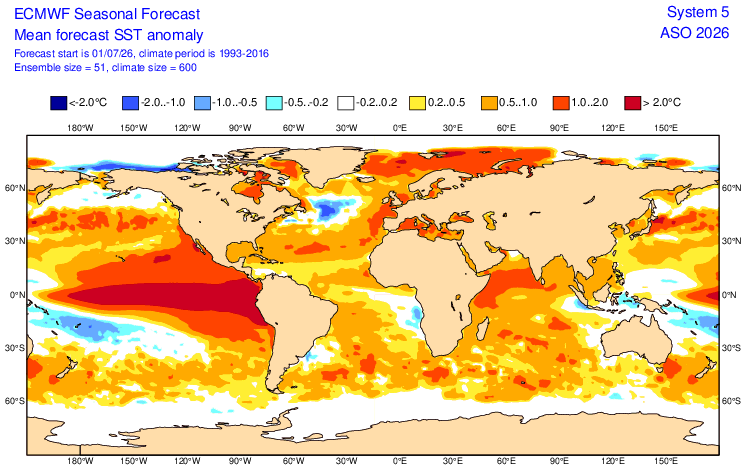 Ídem que el caso anterior pero para las anomalías de la temperatura superficial de los mares y océanos para ASO, con la fuerte señal de El Niño en el Pacífico ecuatorial. Fuente: ECMWF