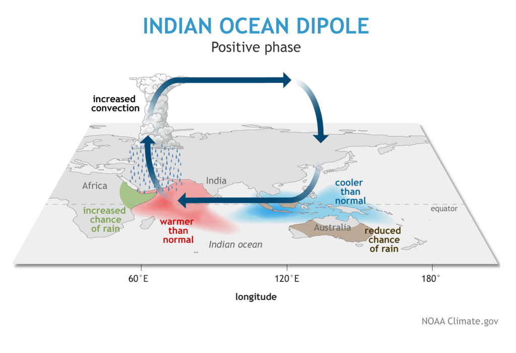 Dipolo del Índico Esquema de la fase positiva del Dipolo del Índico. Fuente: Climate.gov.