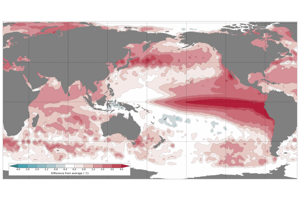 Anomalías de SST Anomalías de temperatura superficial del mar actuales en el Pacífico y el Índico. Fuente: BoM Australia.