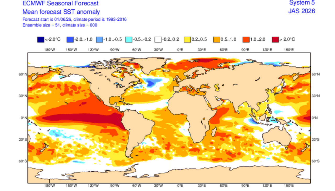 La previsión de la temperatura de la superficie del mar para julio, agosto y septiembre elaborada por el ECMWF indica una amplia zona con anomalías superiores a 2 °C. Créditos: ECMWF.